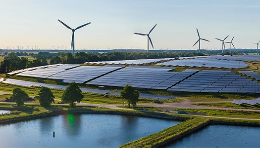 Sustainability