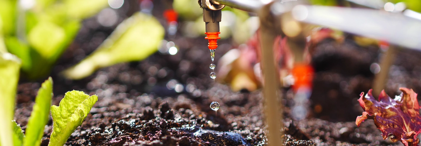 Transform Your Irrigation Practice