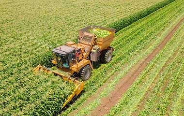 Corn Harvester Development