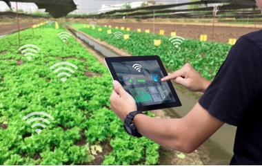 Smart Farming on a LORA Network